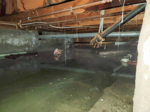 Best Water damage contractors near me  in Mcfarland, CA