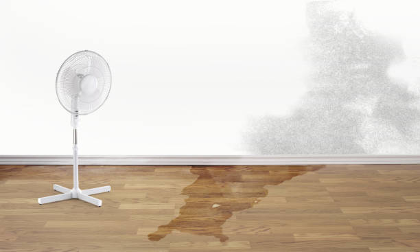 Local water damage restoration in Mcfarland, CA