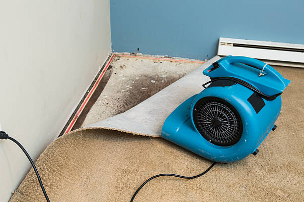 Trusted Mcfarland, CA Water damage restoration Experts